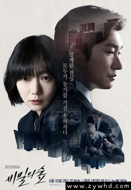 韩剧《秘密森林/비밀의 숲/Forest of Secrets》全1-2季