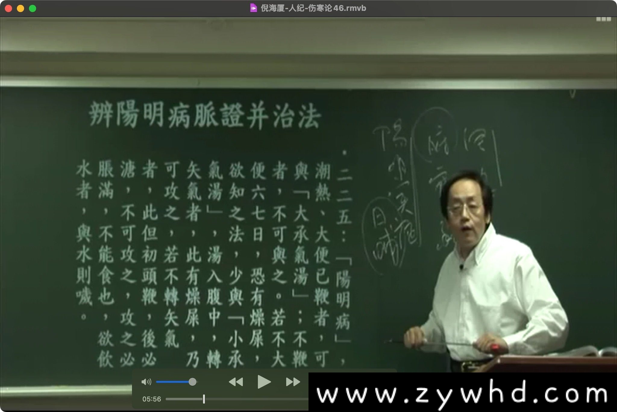 《倪海厦人纪-伤寒论》全65集视频学习资料[RMVB/13GB]百度云网盘下载，包含65集，RMVB视频格式，已做压缩处理，百度网盘下载后解压使用，文件大小13GB。